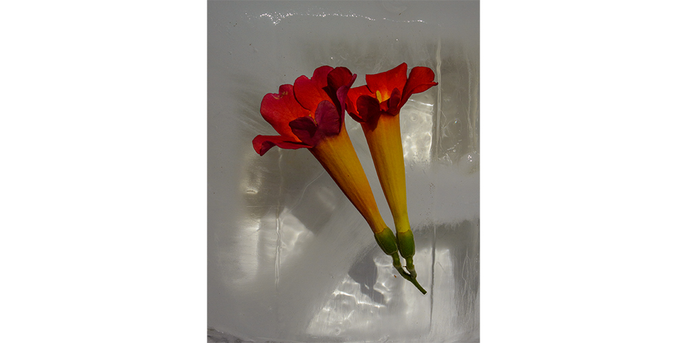 Ice Block with Flowers