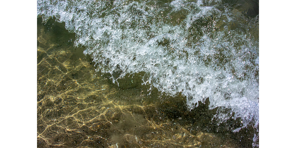 Wavelet